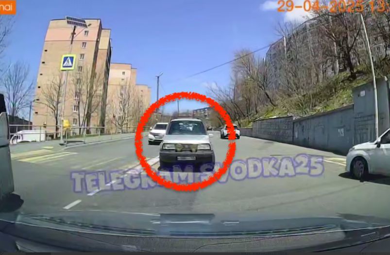 "Раз 20 пересмотрел": поступок водителя ошарашил жителей Владивостока — видео