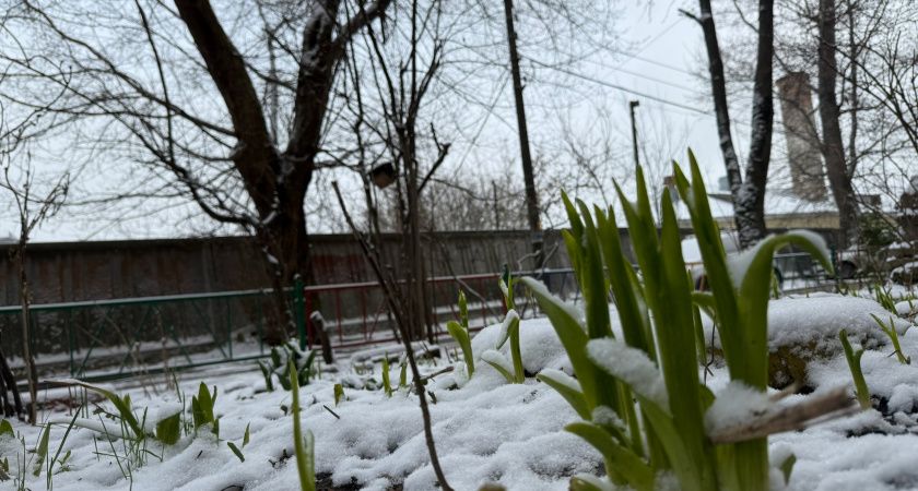 "Ждите подлянку на майские праздники": синоптики прогнозируют сильнейшее похолодание весной-2025