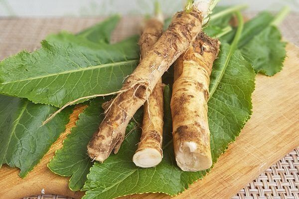 Хрен: от остроты до здоровья – удивительное свойство корня