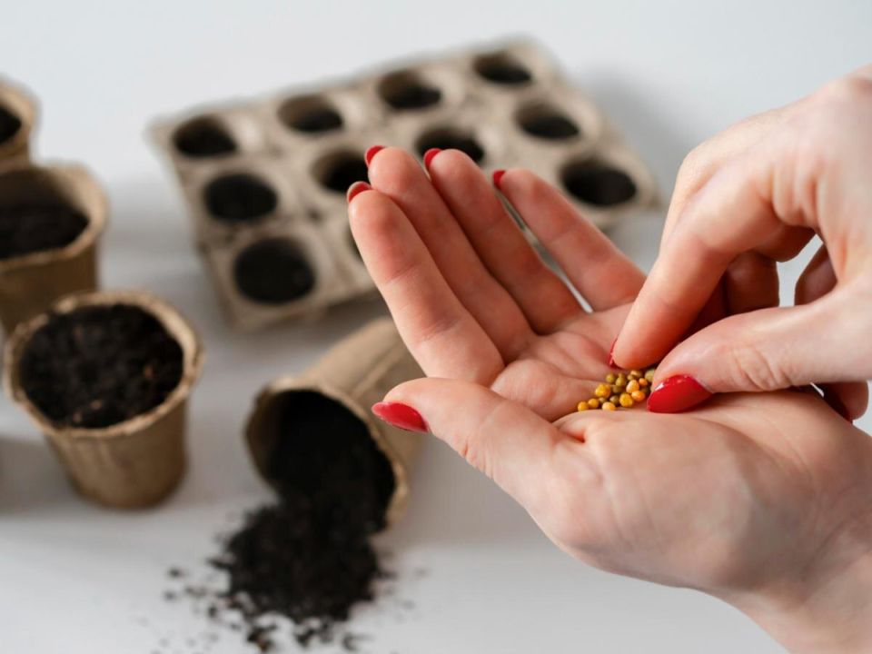 Теплая зима: как это влияет на посев семян и советы опытного агронома