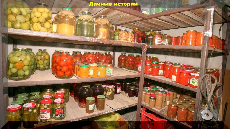 Секреты зимнего хранения: как сохранить урожай в погребе