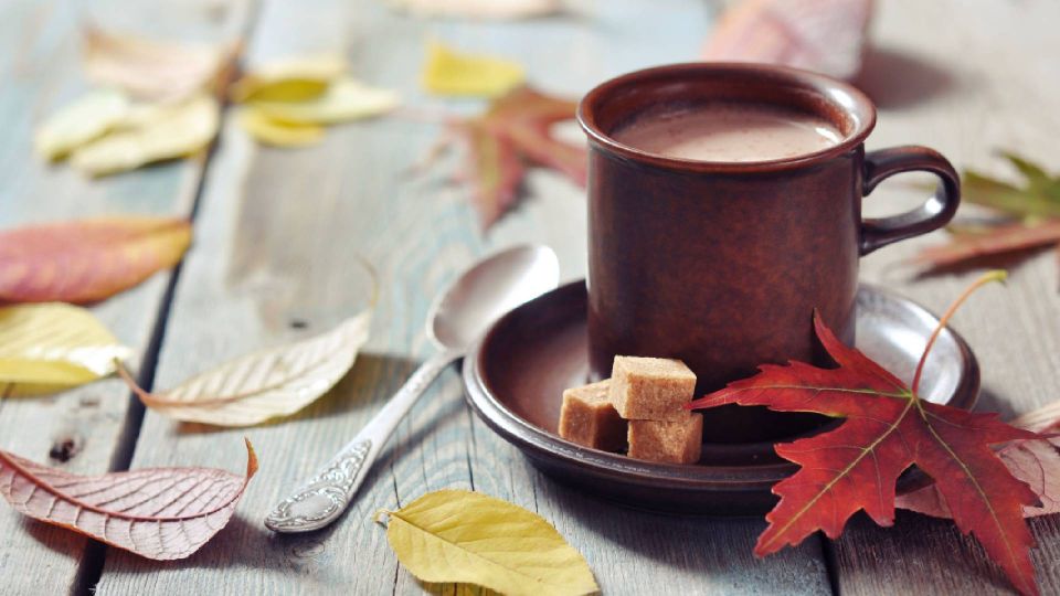 Чай с шоколадным вкусом быстро согреет в холода: готовится за пару минут