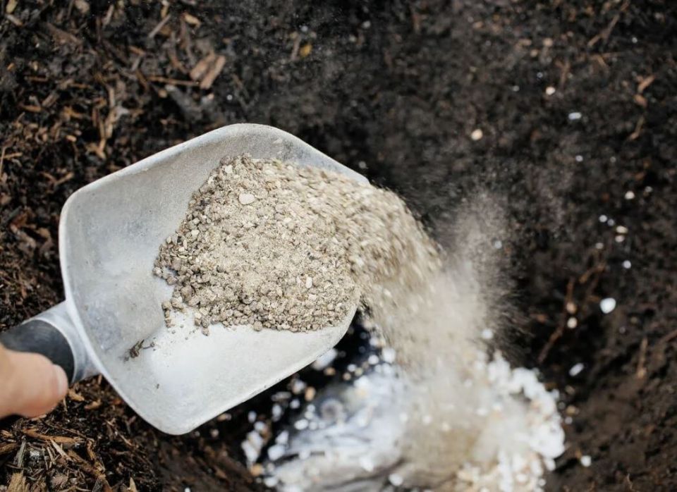 Как древесная зола может преобразить ваш сад: секреты успешной подкормки