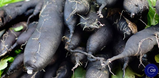 ����������: ��������� � ���������� ������ � ��������� ����������