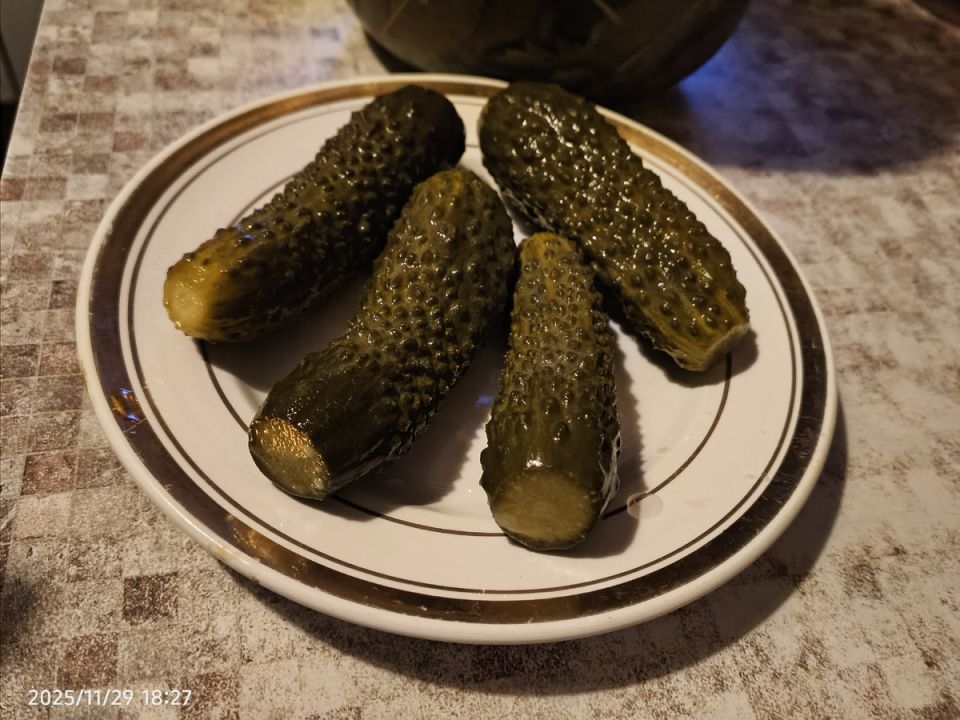 Как выбрать идеальные огурцы для вашего урожая: секреты и советы