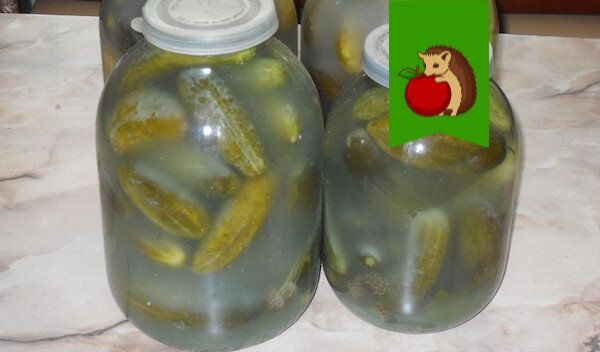 ������ ����� � �������� �������?