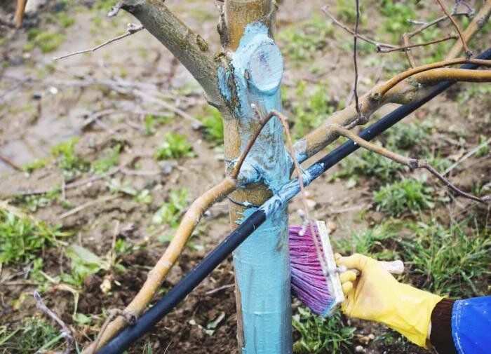 ������ ��������: �������� �������� ������ ����