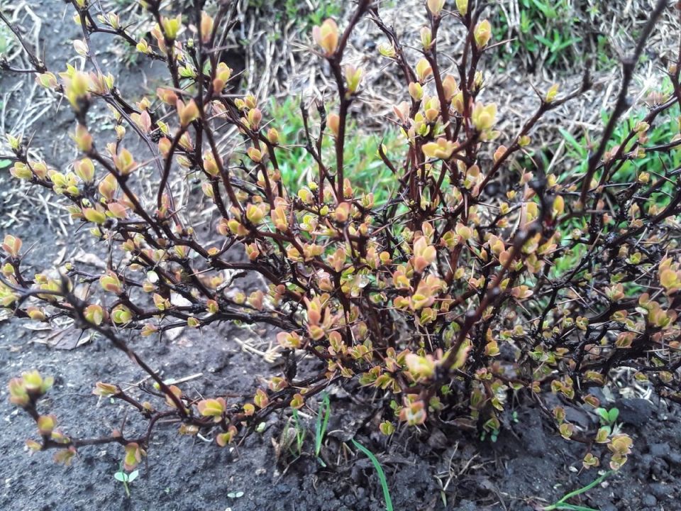 �������� � ����: ������� �����, ���� ����� ������ ���������?