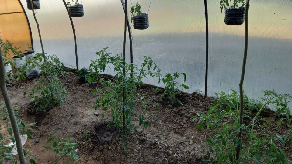 ����������� ������� �������: ����� ������ �� �����������