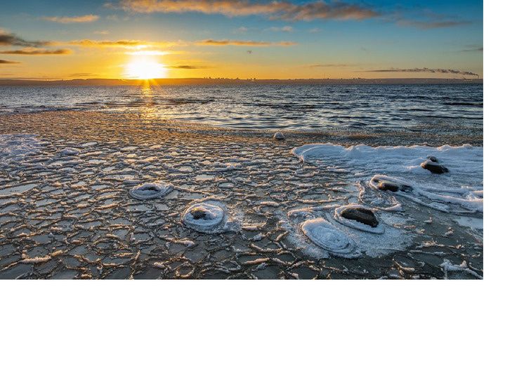 � ������ 2026 ����: ��� ����� ������ ������ �� ����� �������