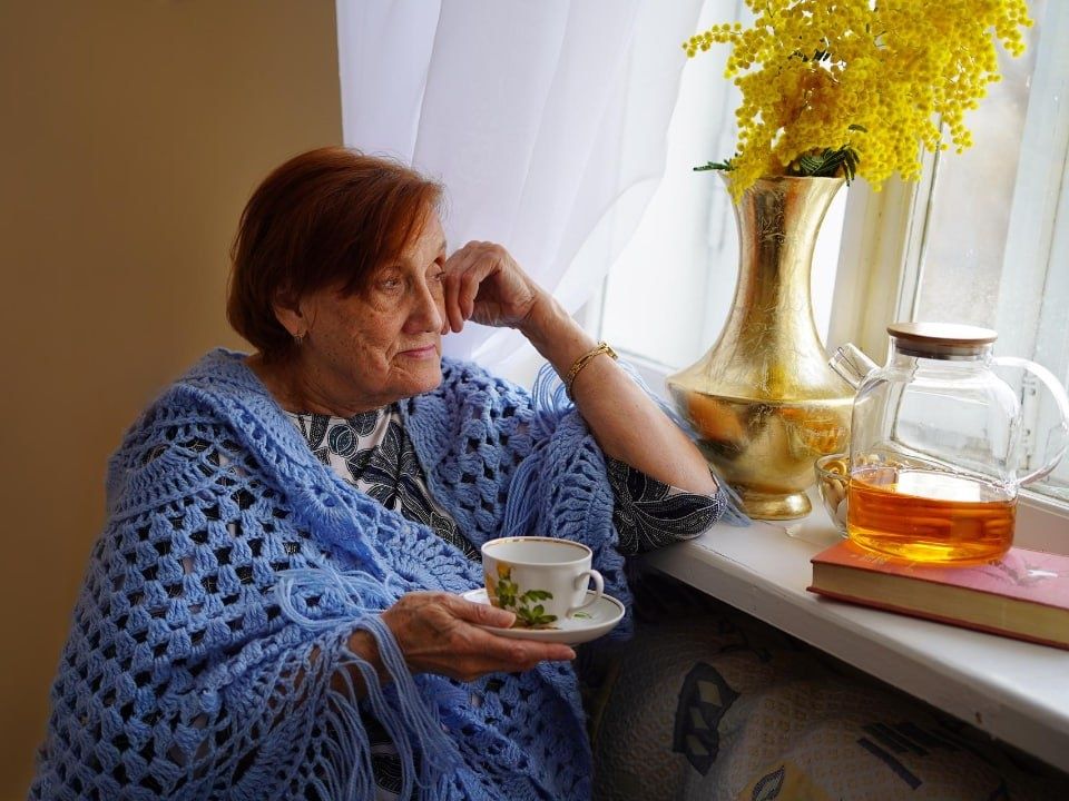 ���������� ����������: ������������ ����� ��� ��������������� ������ � 2026 ����