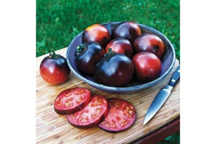 ��������� ������ �����: ���������� ���� ������� � �������� ������ � ������������ ������