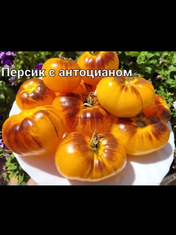 ������ � ����������: ��� ���������� ���� ������� � ����������