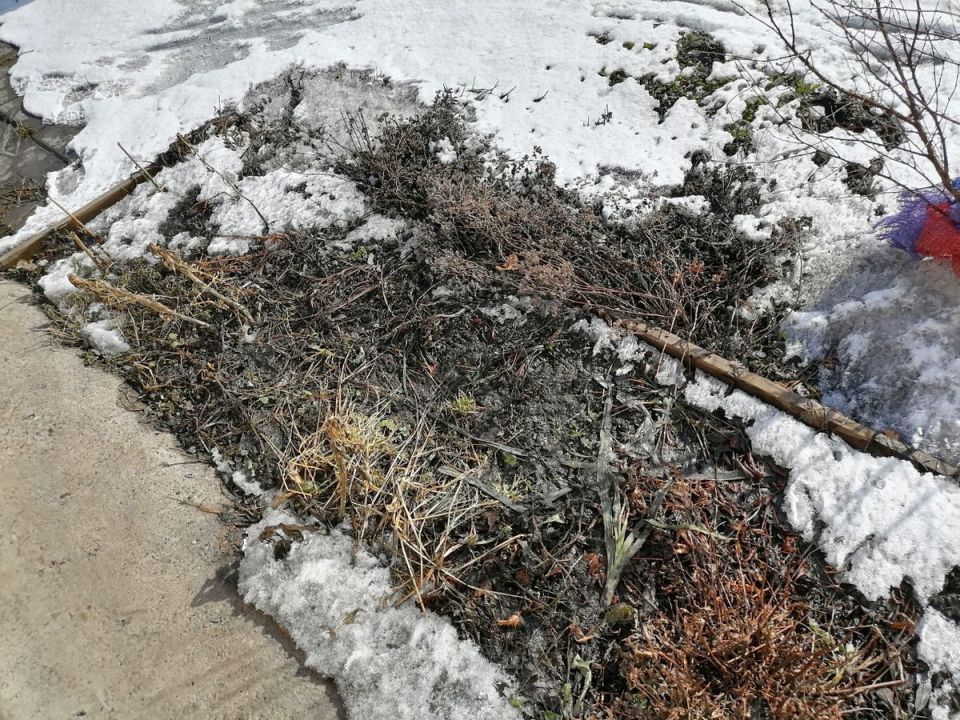 ����� �����: � �������� ������ �������� ����� �����