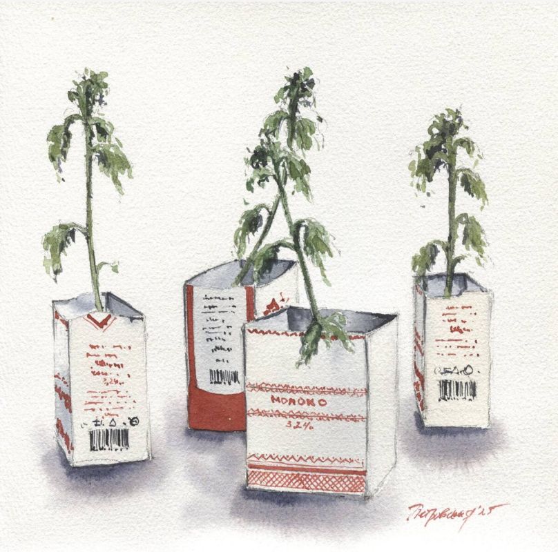 ��� ���������� ����������� ����� �������� ���� �����