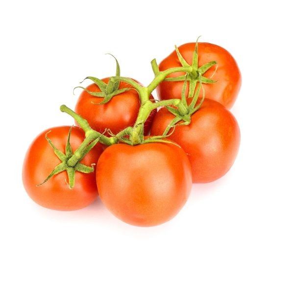 ����� �������: ������� � ���� ������������ ���� �� ����� ����