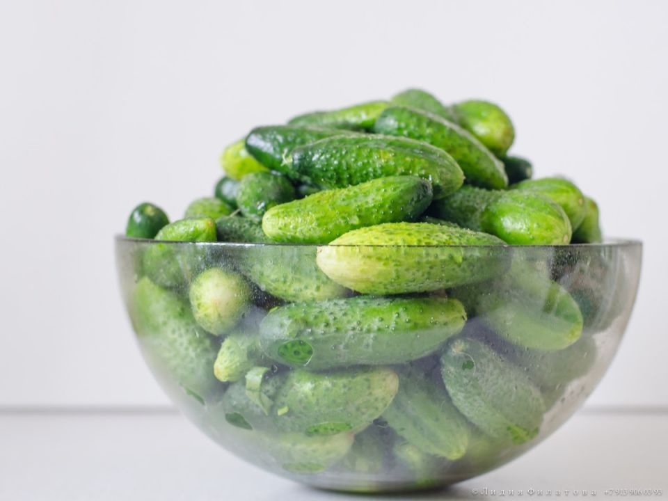 ���� ������: �������� ��������� �����