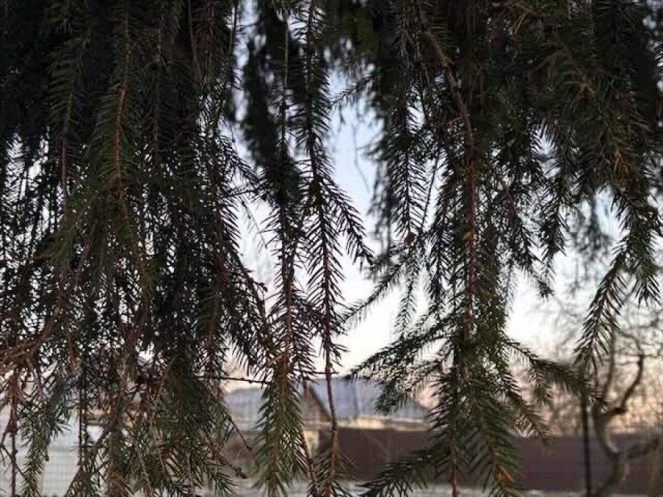 Новый год, новые правила: что ждет брянцев с 1 января 2026 года