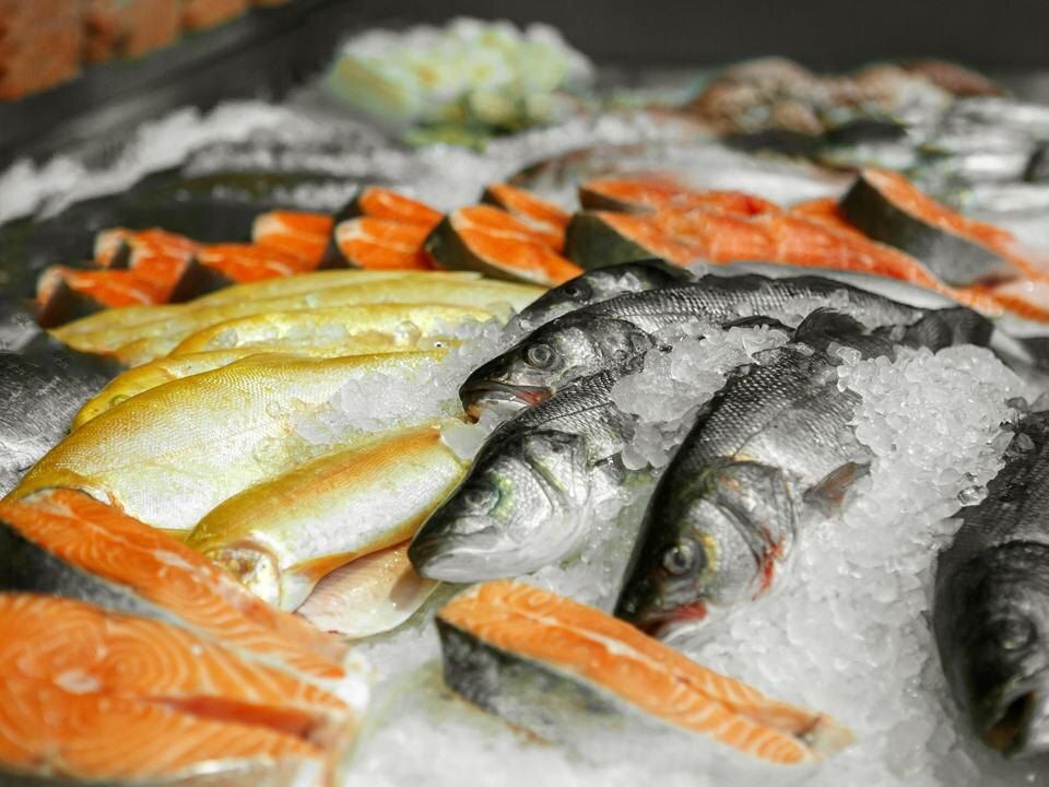 ���� ��� ������������ ����: ������ ���������