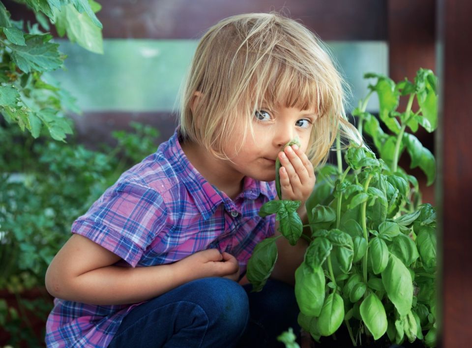 ��������� ��� ��������: �������� ������ �����