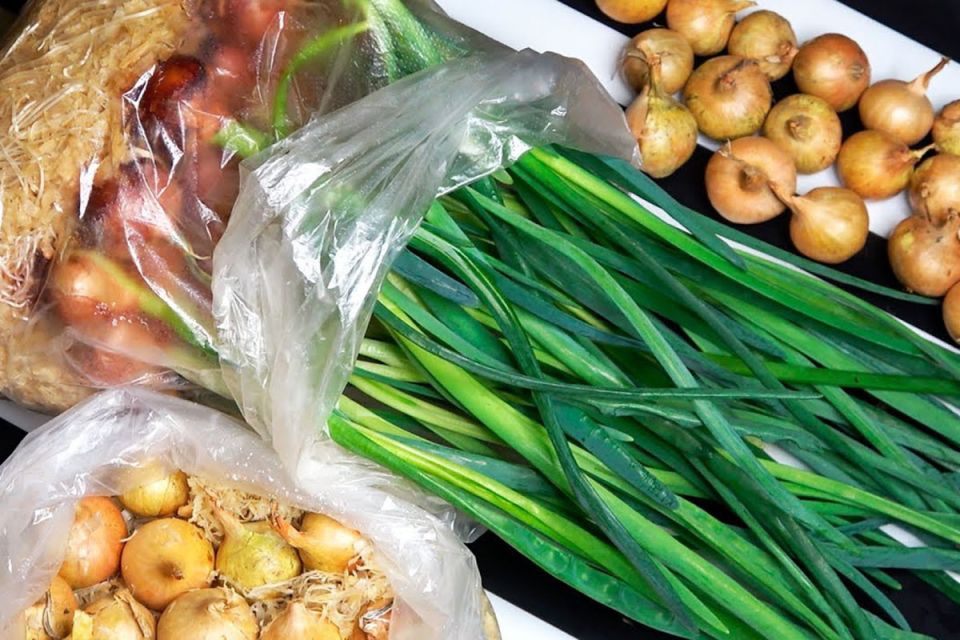 Выращивание зеленого лука в обычных пакетах