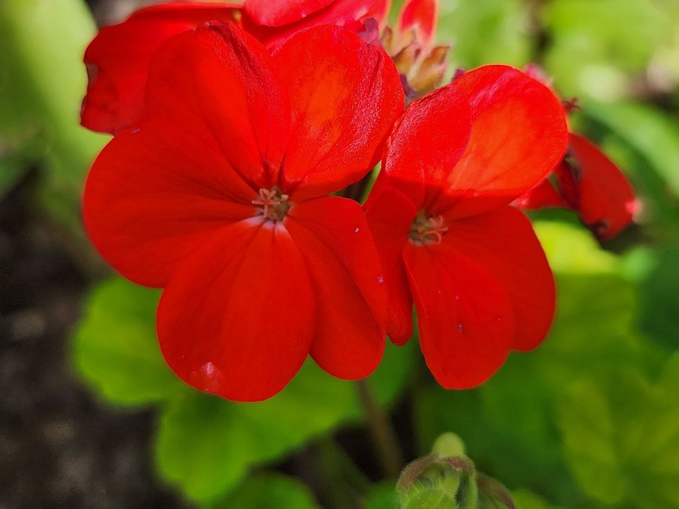 ������ ����� ������ ���� �����, ���� ������� ��� � ������