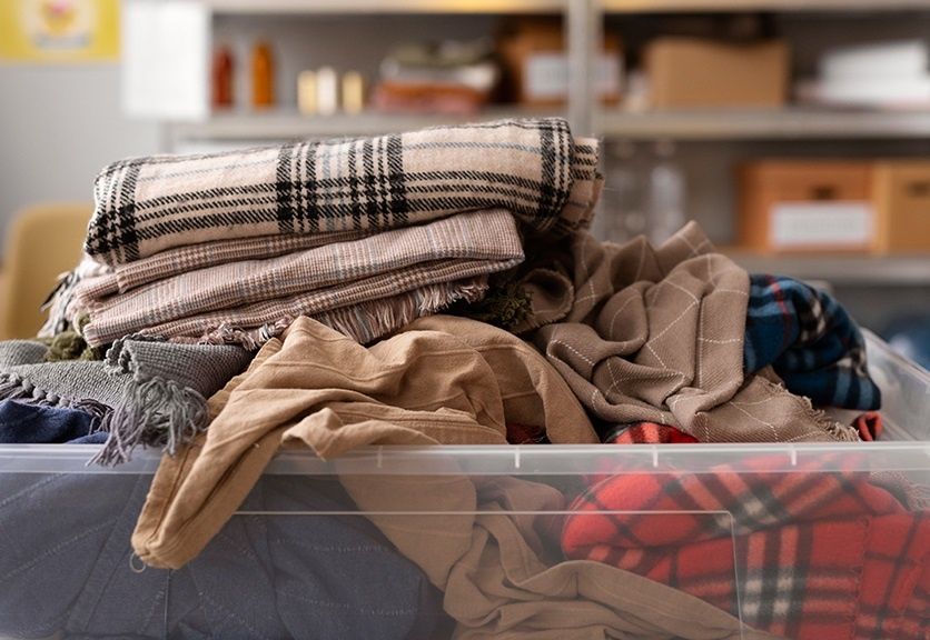 ������ ���������� �����: ���� �����, �� ������� ����� ����������