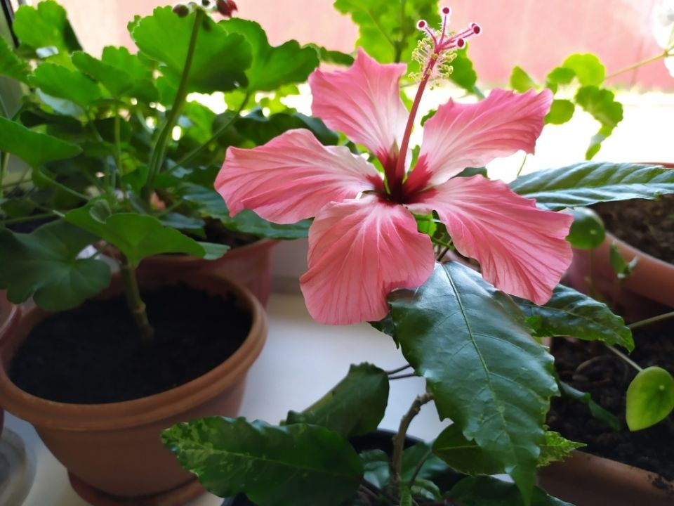 �������� � ����: ��� ��������� �� ��������� ����� � �������� ��������� ��������