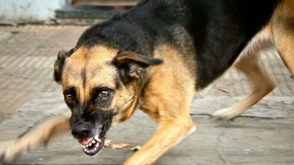 �������������� ������ � ������ �� �������� �������� � ��� ������� �� �����������