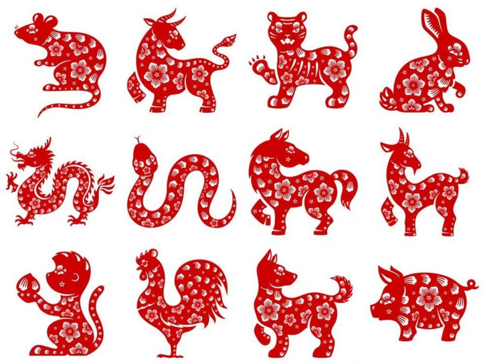 ������� ������� �� ���������� ��������� ��������� ����� ������ � �����