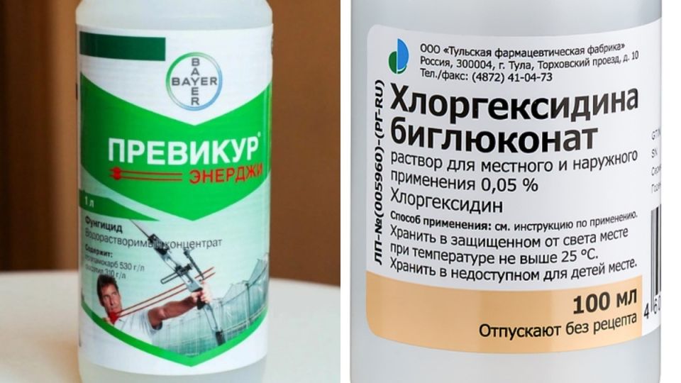 ��� �������� �������� �������� ��������� �� ��������� ����� ��� ������ ���������