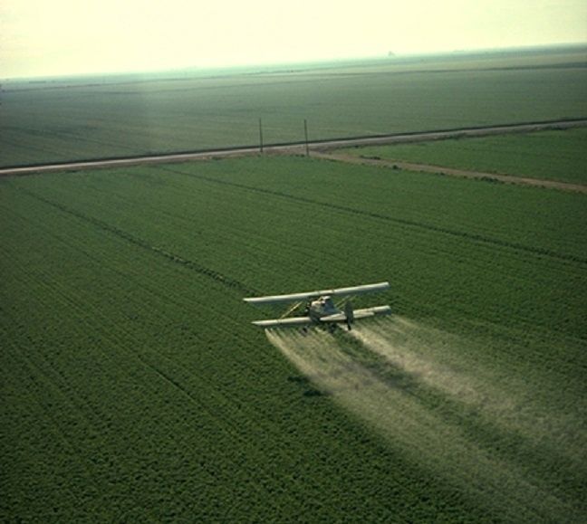 ГМО как шанс для сельского быта и повседневной пищи