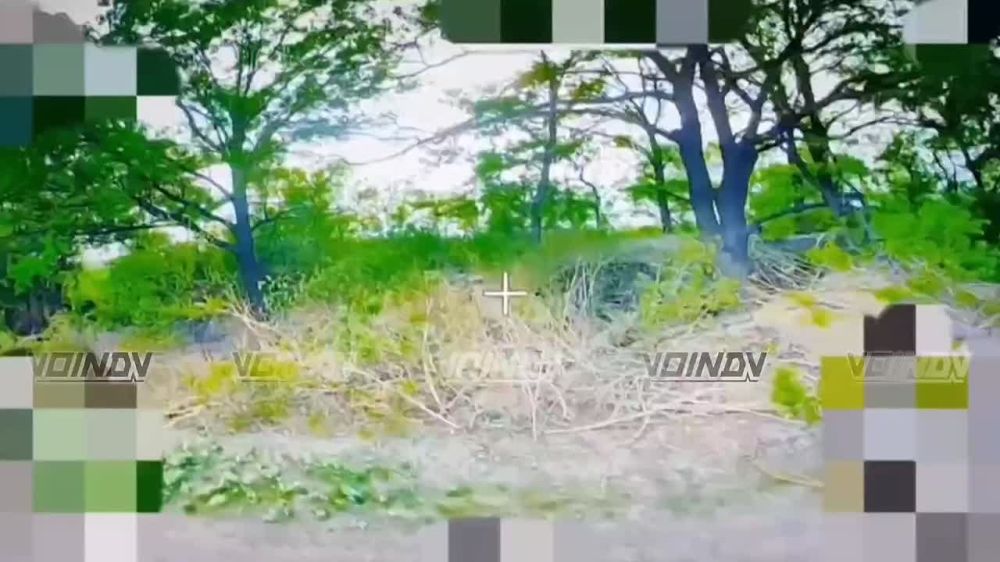 -            FPV-