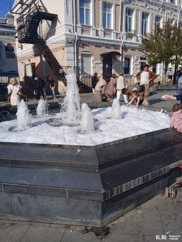  NewsVL.ru ,      -      