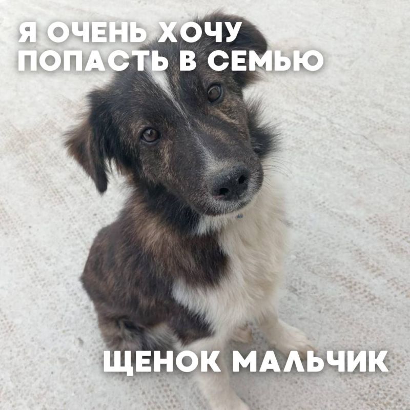    #_     ,              