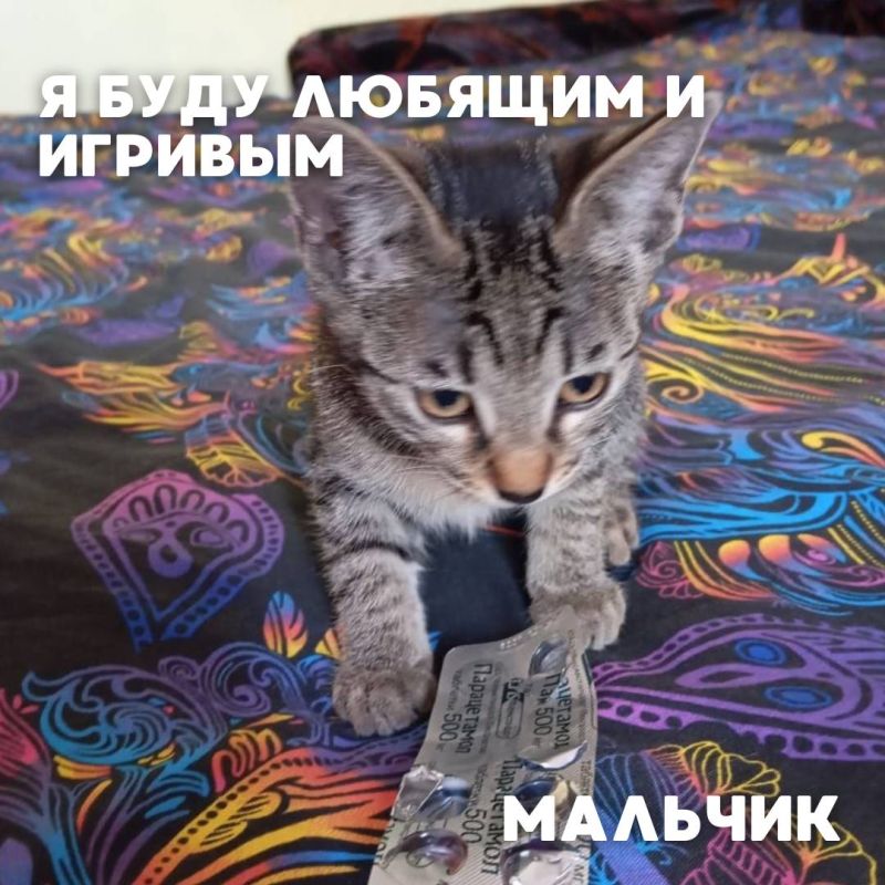    #_     ,              