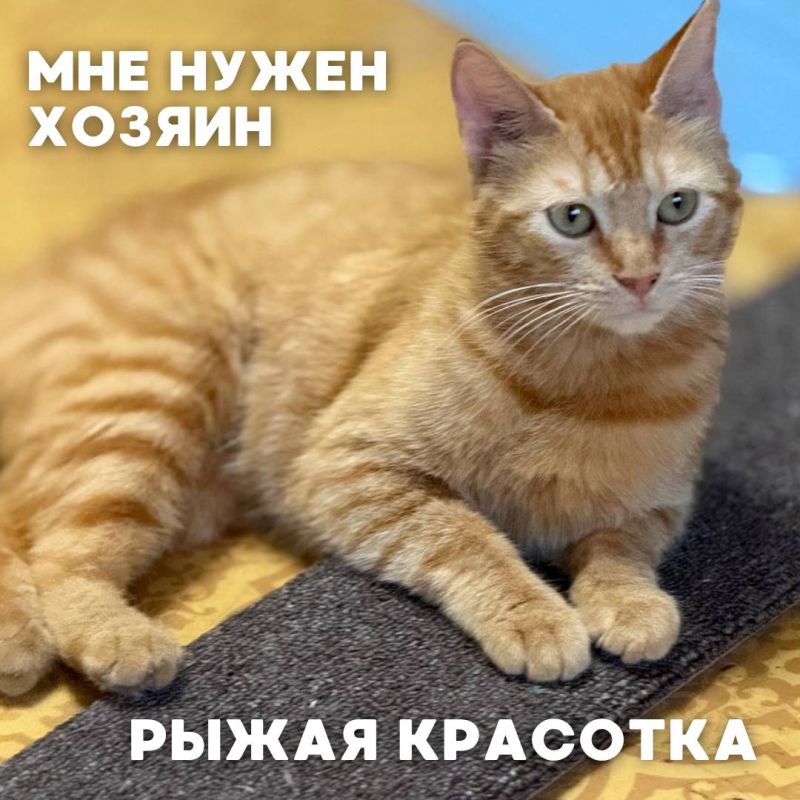   #_     ,              