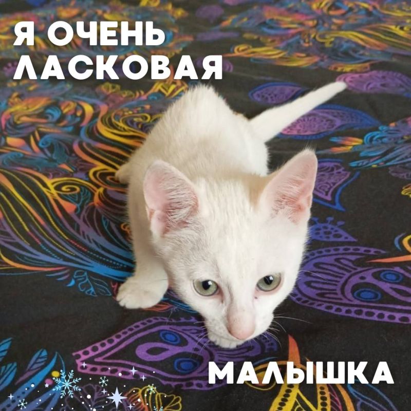    #_     ,              
