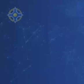      () - 33 
