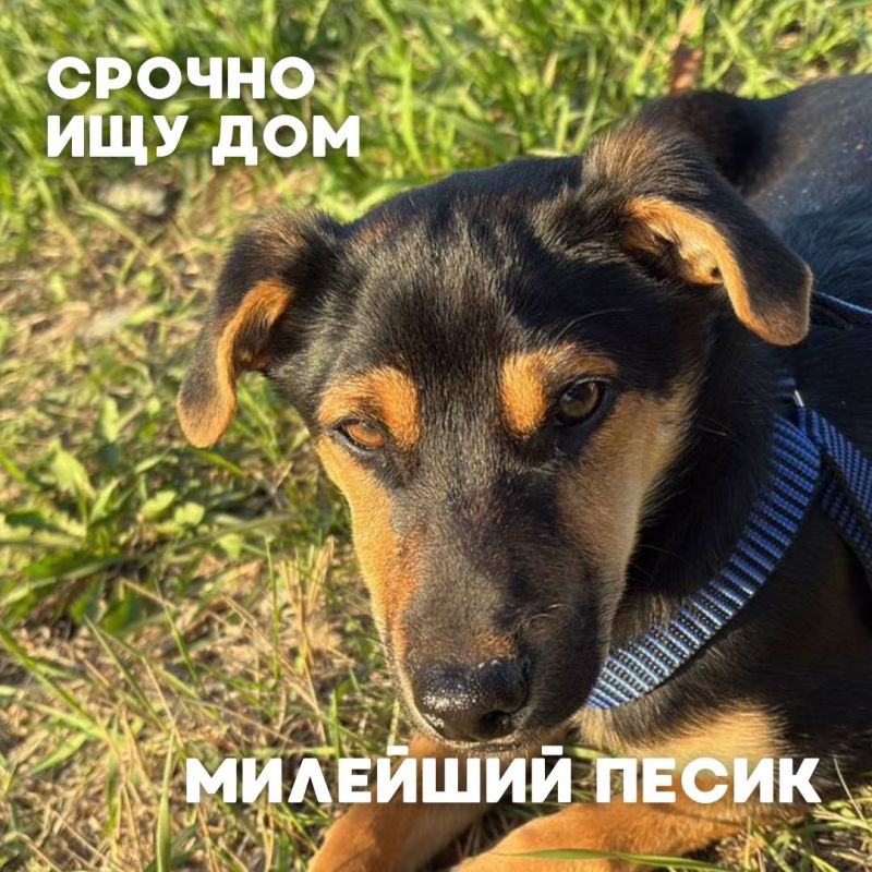    #_     ,              