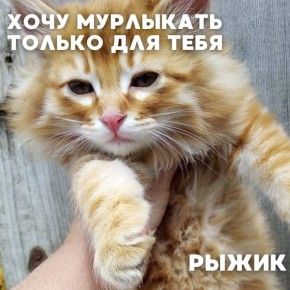    #_     ,              