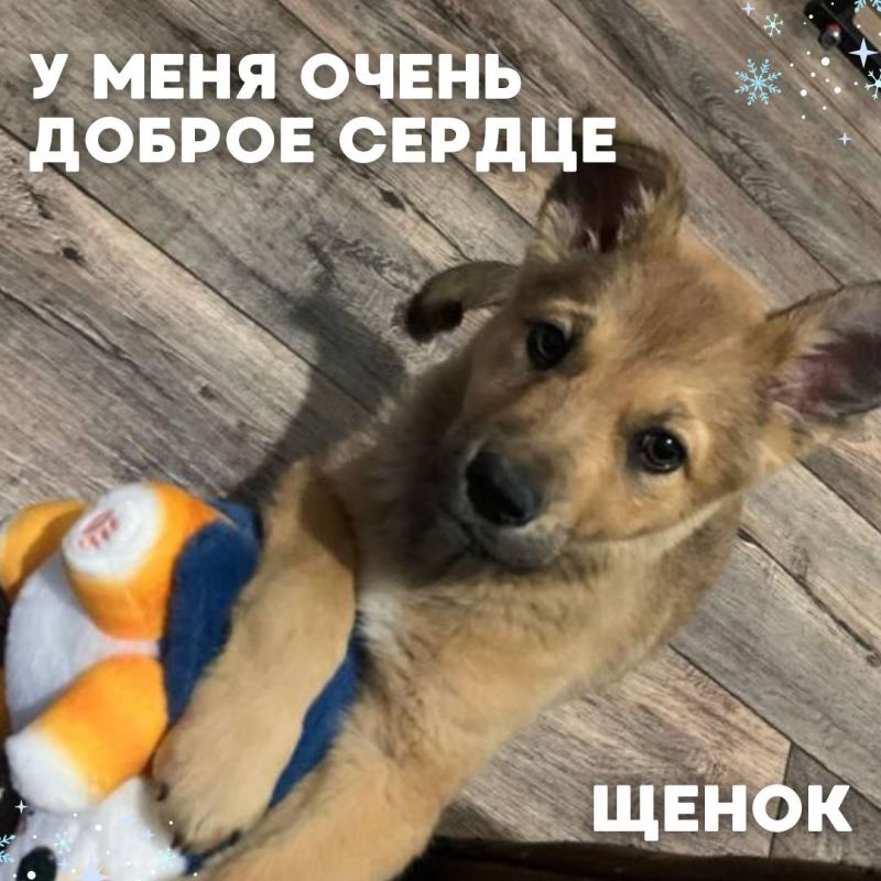    #_     ,              