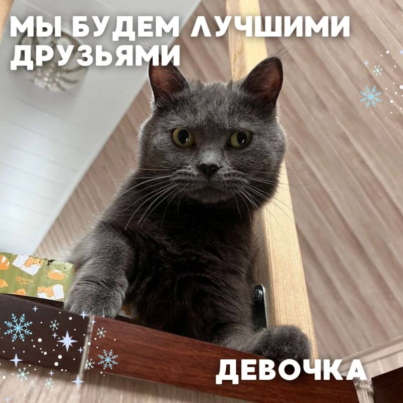    #_     ,              