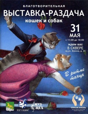   31        - 