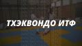Второй Кубок Губернатора Приморского края по тхэквондо ИТФ состоится во Владивостоке