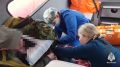 Спасатели МЧС России эвакуировали травмированного мужчину с острова Рейнеке