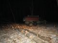 В Хорольском округе Приморья полиция закончила расследование уголовного дела о незаконной рубке деревьев с ущербом 800 тыс