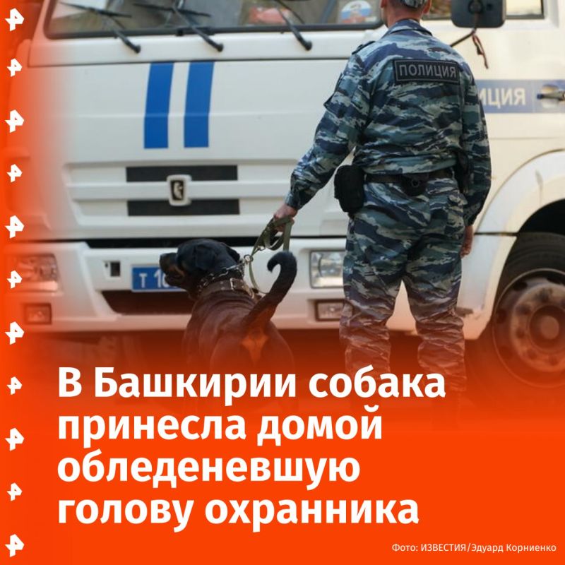 Собака принесла домой обледеневшую голову охранника из Башкирии