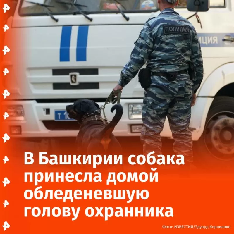 Собака принесла домой обледеневшую голову охранника из Башкирии