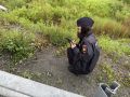 В пресс-службе отдела МВД России по городу Артему сообщили, что в ходе мониторинга социальных сетей была выявлена публикация о повреждении колес нескольких транспортных средств саморезами, лежавшими на проезжей части...